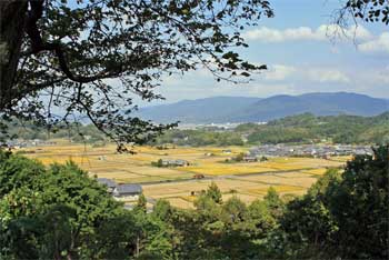 甘堅丘