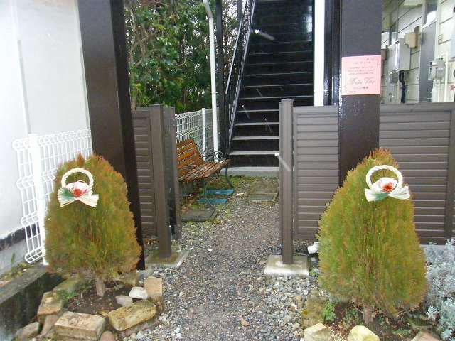 2010-11-27 019