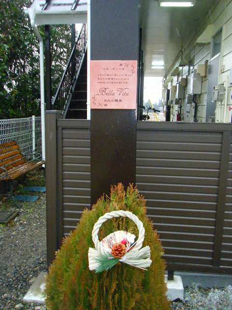 2010-11-27 017