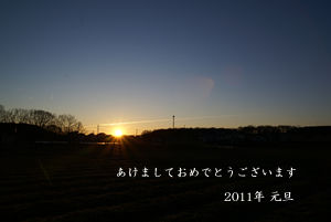 2011年元旦