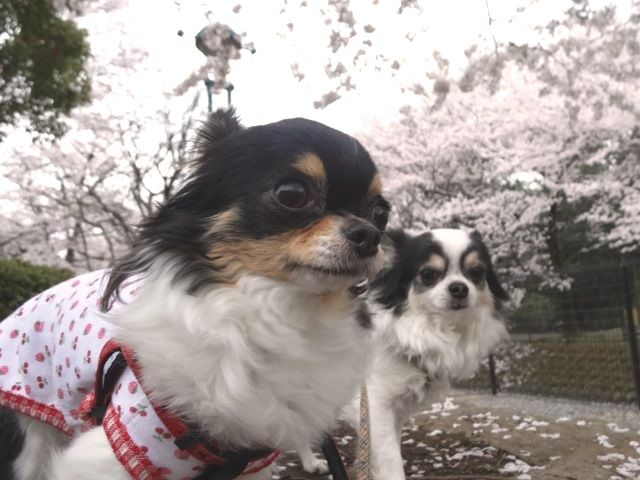 0DSC02422