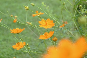 M3_4566 (2)