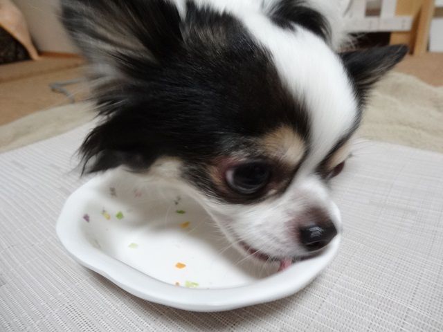 0DSC00884