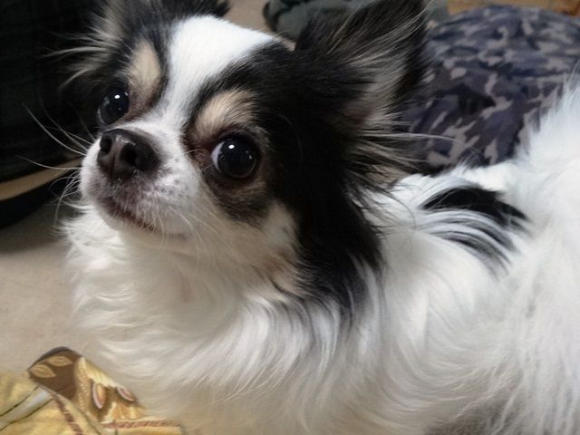 0DSC00986