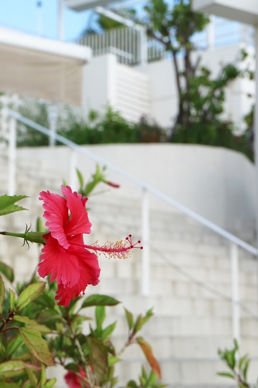 EOS M317_07_26_28777