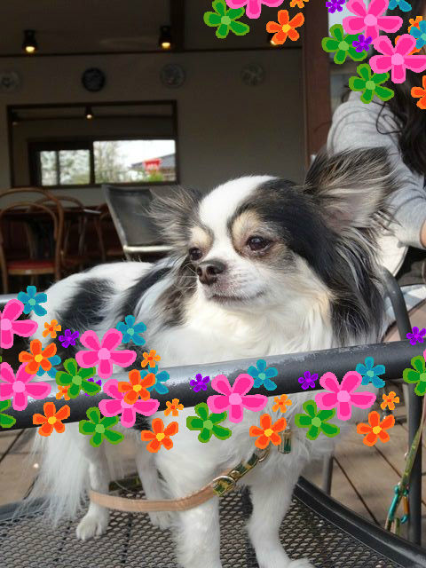 BlogPaint