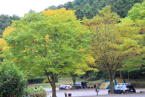 EOS Kiss X6i_5126