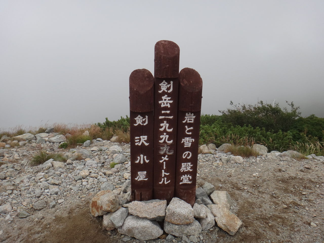 DSC05550