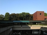 東京都美術館