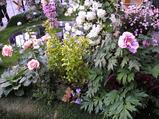 丸の内の花