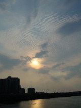 charles river8.10.06