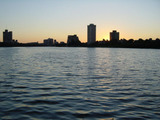 cruise