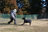 BlogPaint