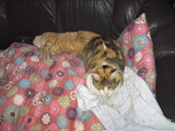 45f38779.jpg