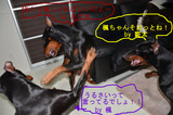 BlogPaint