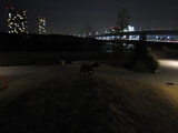 IMG_0032