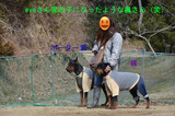BlogPaint