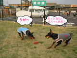 BlogPaint