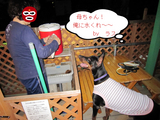 BlogPaint