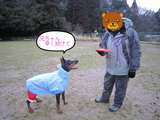 BlogPaint