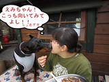 BlogPaint