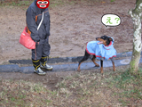 BlogPaint
