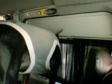 937c1187.jpg