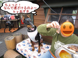 BlogPaint