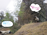 BlogPaint