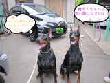 BlogPaint