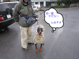 BlogPaint