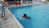 DSC_0446 - ���ԡ�