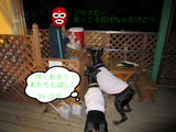 BlogPaint