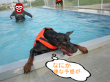 BlogPaint