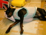 e4e711e4.jpg