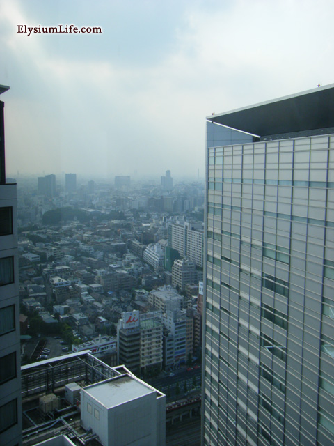 el_photo_110808_006