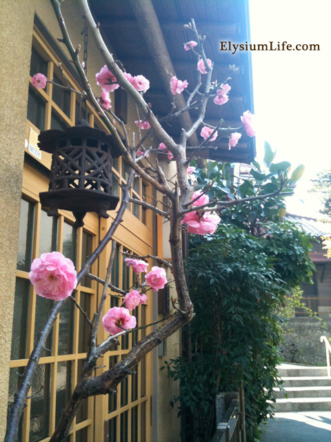 el_photo_110330