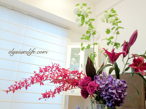 elysiumlife_img007-02