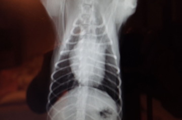 R0003420