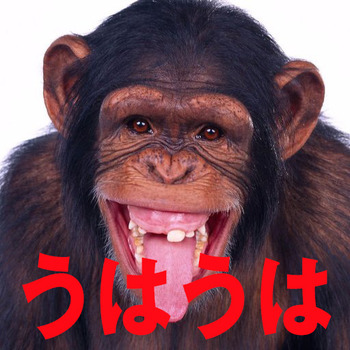 CdoQwU1Q