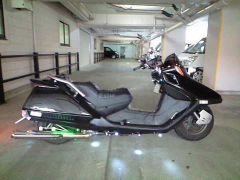 7379614_45455660_1large