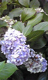 7d30b98f.jpg