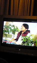 sakurai