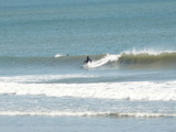 katahama