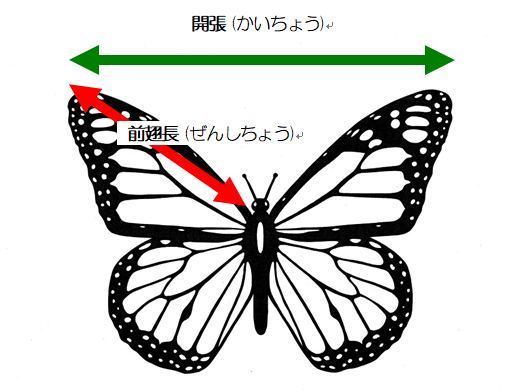 oogomadara