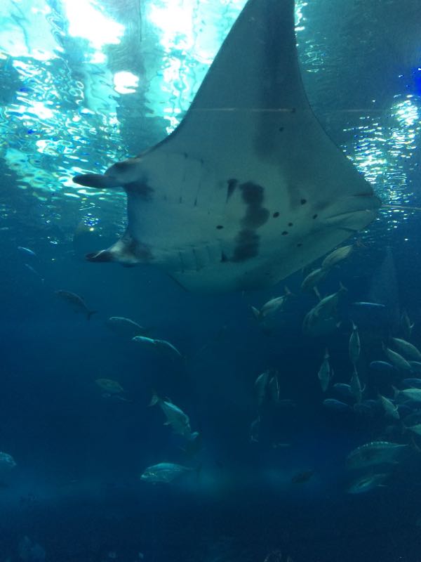 rblog-20150511220628-07.jpg