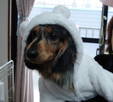 から