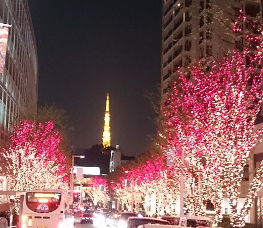六本木