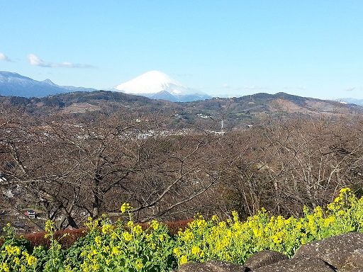 Mount Fuji