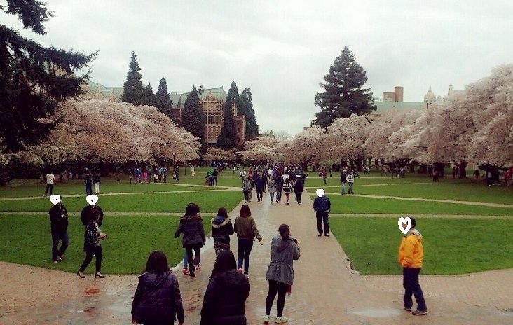 ワシントン大学